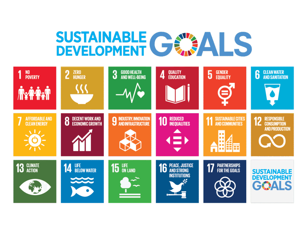 17 UN Sustainable Development Goals